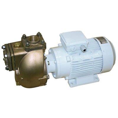 C.E.M. Elettromeccanica AM 65/1 (400-690T) Three Phase Alternating Current Self-Priming Centrifugal Bronze Electric Pump