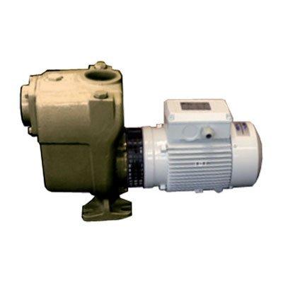 C.E.M. Elettromeccanica AM 512A (230M) Single Phase Alternating Current Self-Priming Centrifugal Bronze Electric Pump