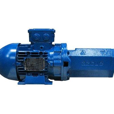 Castle Pumps BTMB25D Cargo pump Castle Pumps BTMB25D Horizontal Self Priming Screw Pump with Safety valve