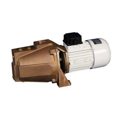 C.E.M. Elettromeccanica JBR (230M) Single Phase Alternating Current Self-Priming Bronze Electric Pump