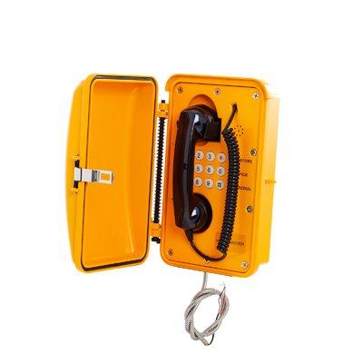 Zenitel KNSP-01 Heavy Duty Telephone with Door