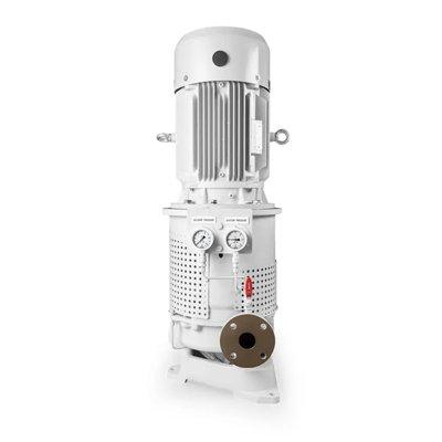 Svanehøj CGE 300 Pump (auxiliary)